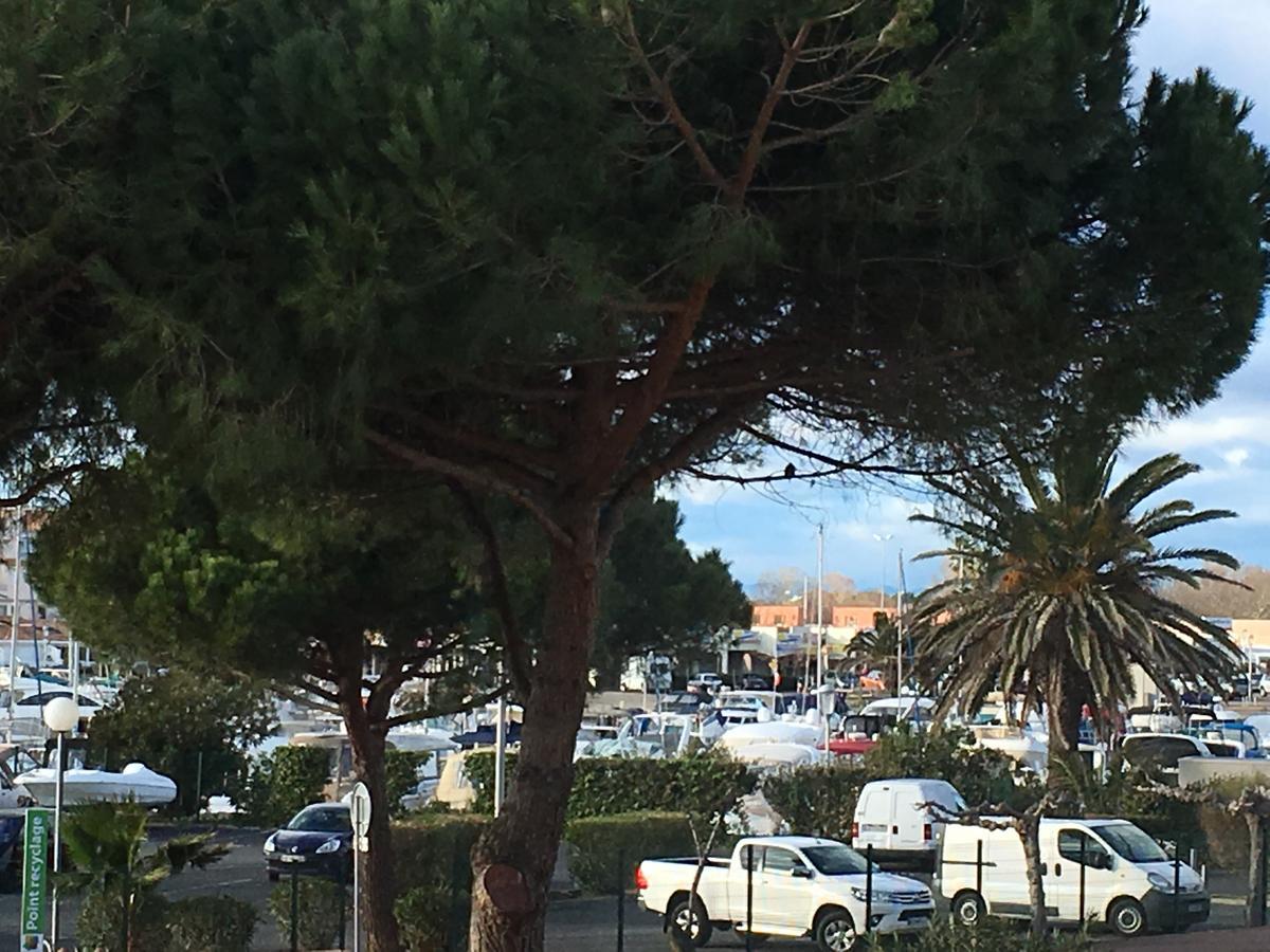 Au Coeur Du Village Naturiste Agde Exteriör bild